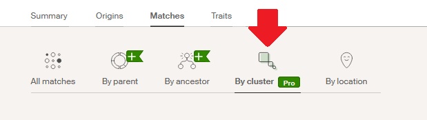 where to click on Ancestry DNA match list to see DNA matches by cluster