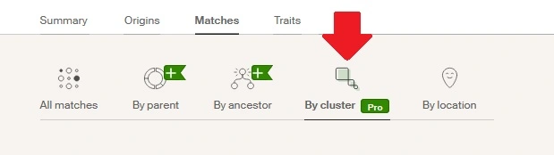 where to click on Ancestry DNA match list to see DNA matches by cluster