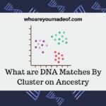 What are DNA Matches By Cluster on Ancestry
