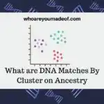What are DNA Matches By Cluster on Ancestry