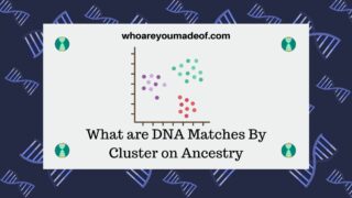 What are DNA Matches By Cluster on Ancestry