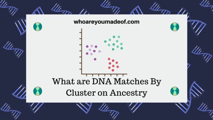 What are DNA Matches By Cluster on Ancestry