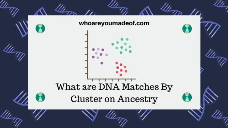 What are DNA Matches By Cluster on Ancestry