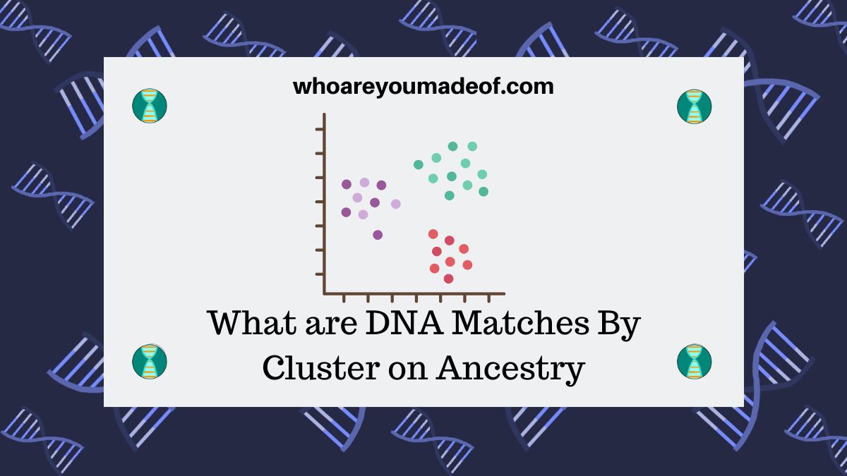 What are DNA Matches By Cluster on Ancestry