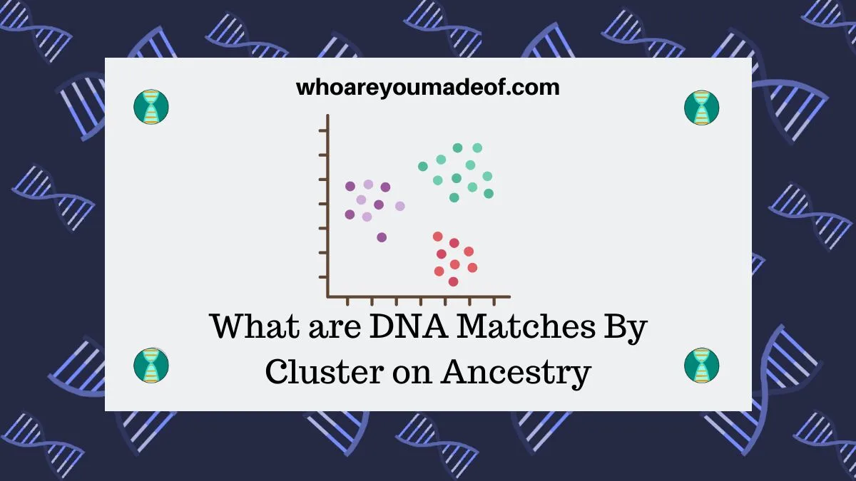 What are DNA Matches By Cluster on Ancestry