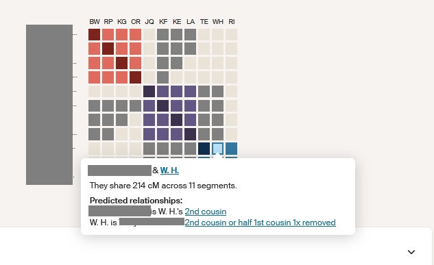 I hovered over one grid on my clusters to show how much DNA my two matches share with each other