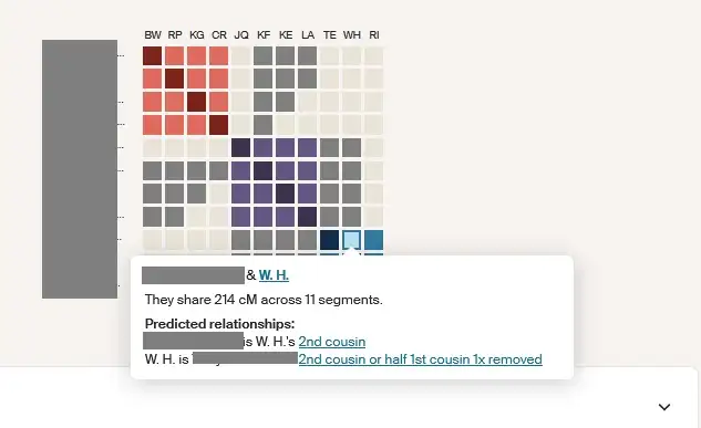 I hovered over one grid on my clusters to show how much DNA my two matches share with each other