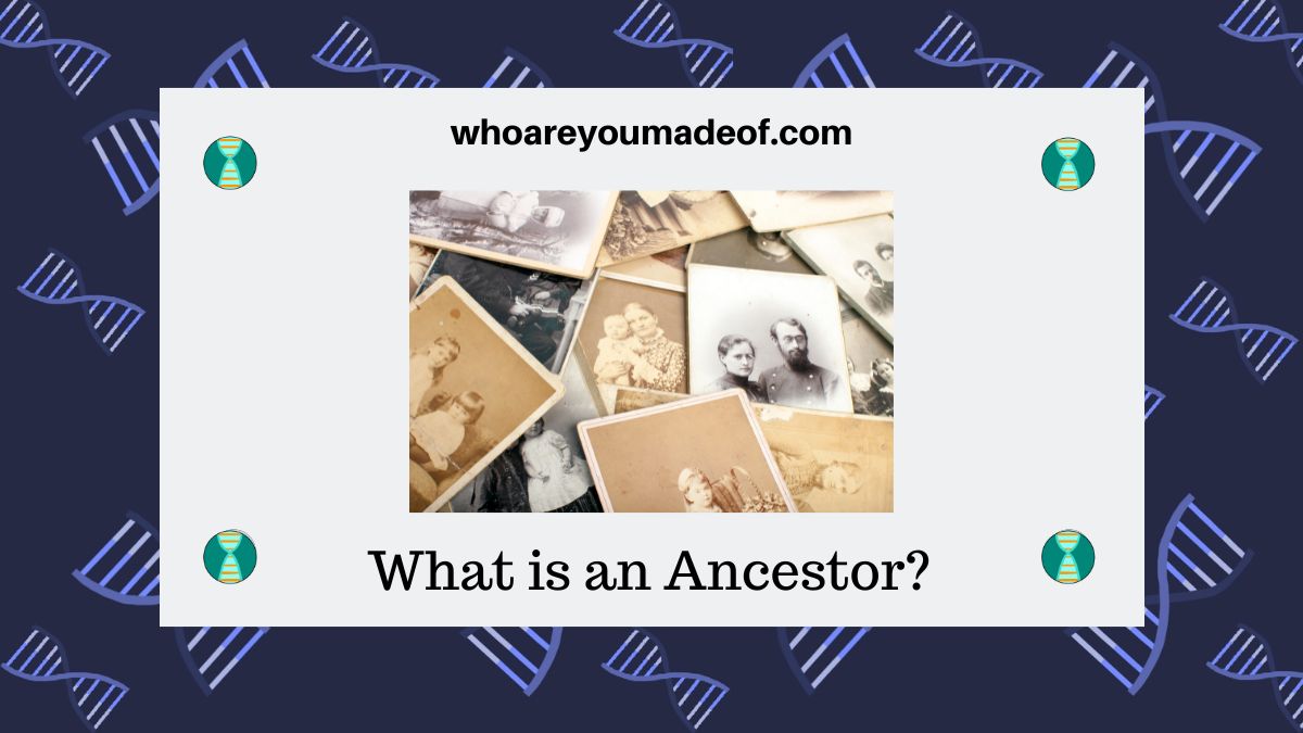 What is an Ancestor?