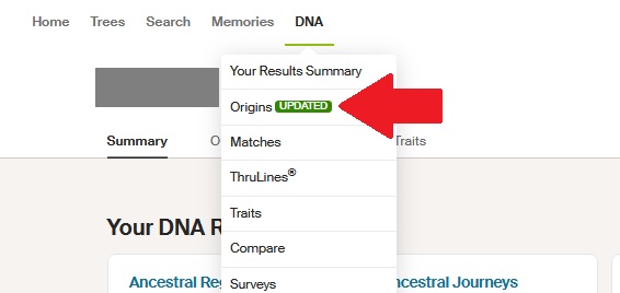 The red arrow points to the "Origins" option on the DNA tab