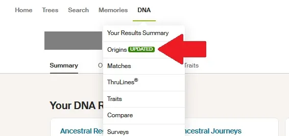 The red arrow points to the "Origins" option on the DNA tab
