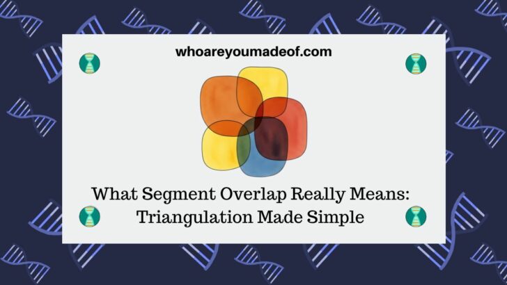 What Segment Overlap Really Means Triangulation Made Simple
