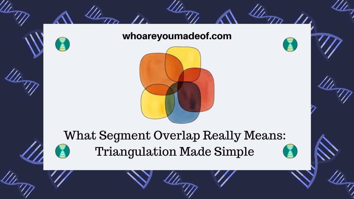 What Segment Overlap Really Means Triangulation Made Simple